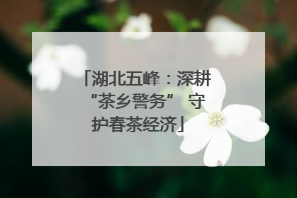 湖北五峰：深耕“茶乡警务” 守护春茶经济