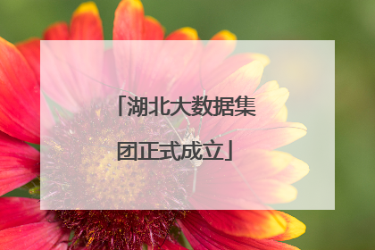 湖北大数据集团正式成立