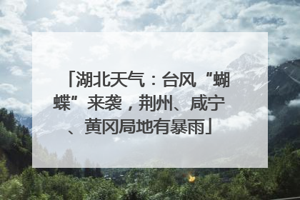 湖北天气：台风“蝴蝶”来袭，荆州、咸宁、黄冈局地有暴雨