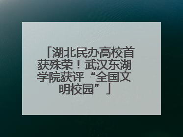 湖北民办高校首获殊荣！武汉东湖学院获评“全国文明校园”