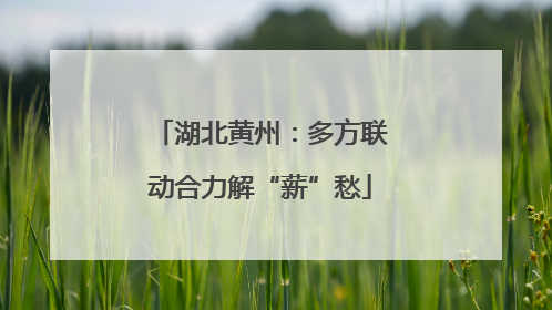 湖北黄州：多方联动合力解“薪”愁