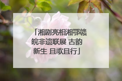 湘剧亮相湘鄂赣皖非遗联展 古韵新生 且歌且行