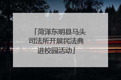 菏泽东明县马头司法所开展民法典进校园活动