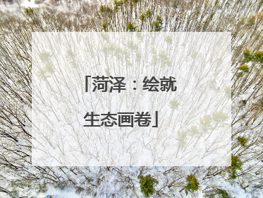 菏泽：绘就生态画卷