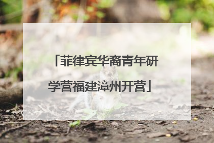 菲律宾华裔青年研学营福建漳州开营