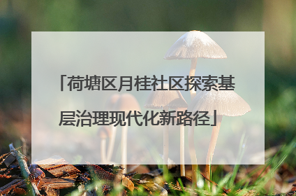 荷塘区月桂社区探索基层治理现代化新路径