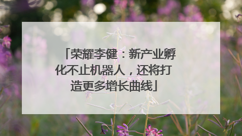 荣耀李健：新产业孵化不止机器人，还将打造更多增长曲线