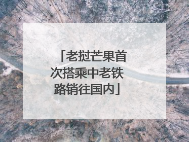 老挝芒果首次搭乘中老铁路销往国内
