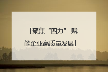 聚焦“四力” 赋能企业高质量发展