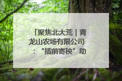 聚焦北大荒｜青龙山农场有限公司：“插前寄秧”助力农业节本增效