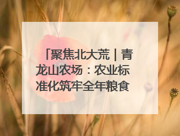 聚焦北大荒｜青龙山农场：农业标准化筑牢全年粮食安全根基