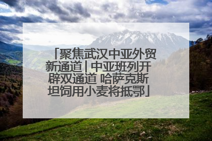 聚焦武汉中亚外贸新通道│中亚班列开辟双通道 哈萨克斯坦饲用小麦将抵鄂
