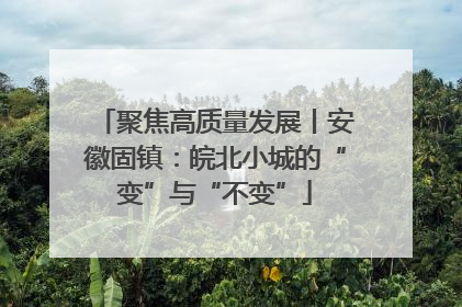 聚焦高质量发展丨安徽固镇：皖北小城的“变”与“不变”