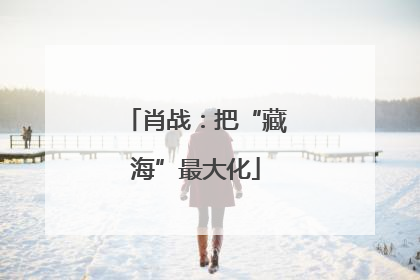 肖战：把“藏海”最大化