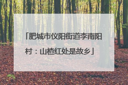 肥城市仪阳街道李南阳村：山楂红处是故乡