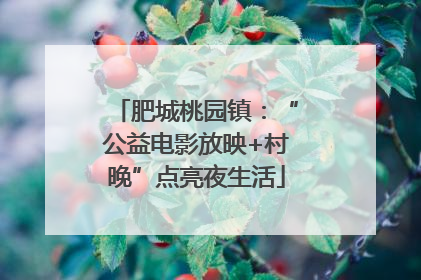 肥城桃园镇：“公益电影放映+村晚”点亮夜生活