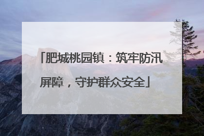 肥城桃园镇：筑牢防汛屏障，守护群众安全