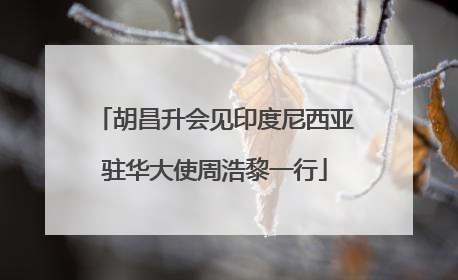胡昌升会见印度尼西亚驻华大使周浩黎一行