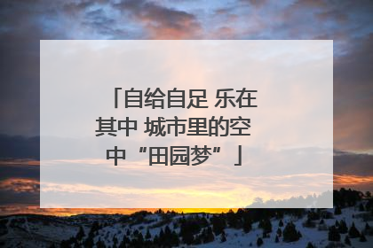 自给自足 乐在其中 城市里的空中“田园梦”