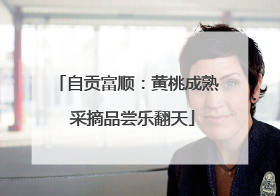 自贡富顺：黄桃成熟 采摘品尝乐翻天