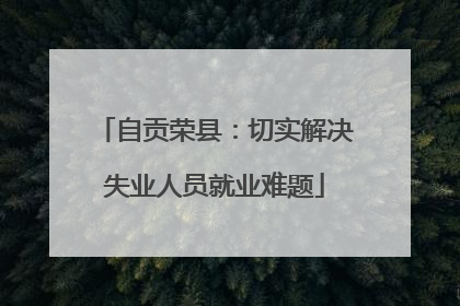 自贡荣县：切实解决失业人员就业难题