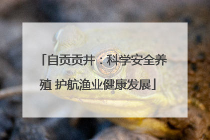 自贡贡井：科学安全养殖 护航渔业健康发展