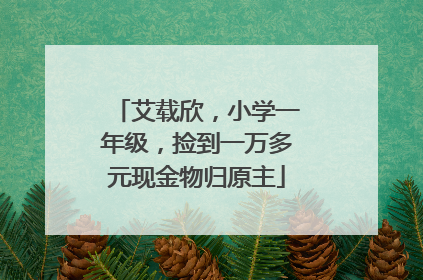 艾载欣，小学一年级，捡到一万多元现金物归原主