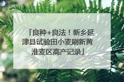 良种+良法！新乡延津县试验田小麦刷新黄淮麦区高产记录