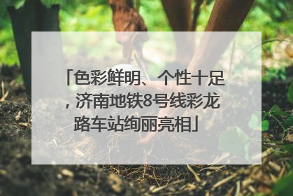 色彩鲜明、个性十足，济南地铁8号线彩龙路车站绚丽亮相
