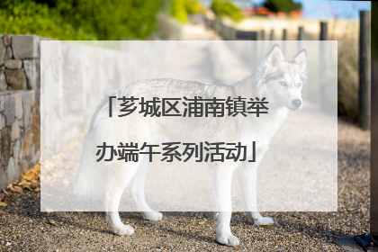 芗城区浦南镇举办端午系列活动