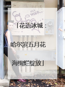 花语冰城：哈尔滨五月花海绚烂绽放