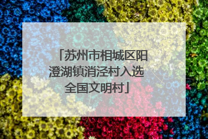 苏州市相城区阳澄湖镇消泾村入选全国文明村