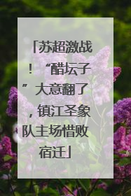 苏超激战！“醋坛子”大意翻了，镇江圣象队主场惜败宿迁