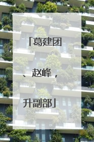 葛建团、赵峰，升副部