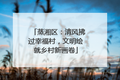 蒸湘区：清风拂过幸福村，文明绘就乡村新画卷