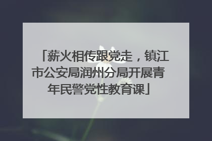 薪火相传跟党走，镇江市公安局润州分局开展青年民警党性教育课