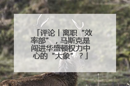 评论丨离职“效率部”，马斯克是闯进华盛顿权力中心的“大象”？