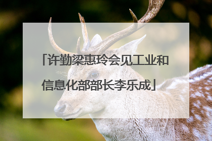 许勤梁惠玲会见工业和信息化部部长李乐成
