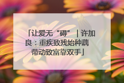 让爱无“碍”｜许加良：重疾致残始种藕 带动致富靠双手