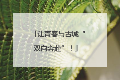 让青春与古城“双向奔赴”！