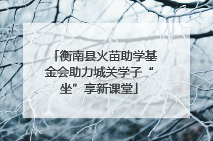 衡南县火苗助学基金会助力城关学子“坐”享新课堂
