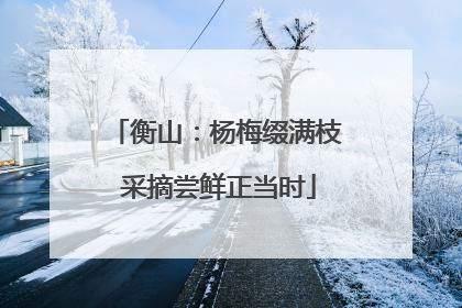 衡山：杨梅缀满枝 采摘尝鲜正当时