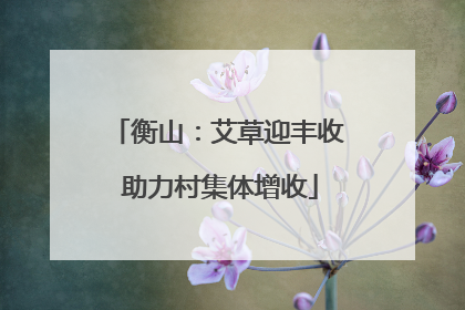 衡山：艾草迎丰收 助力村集体增收