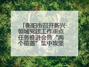 衡阳市召开新兴领域党建工作重点任务推进会暨“两个覆盖”集中攻坚工作专班 第一次会议