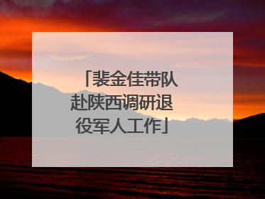 裴金佳带队赴陕西调研退役军人工作