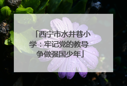 西宁市水井巷小学：牢记党的教导 争做强国少年