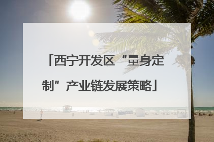 西宁开发区“量身定制”产业链发展策略