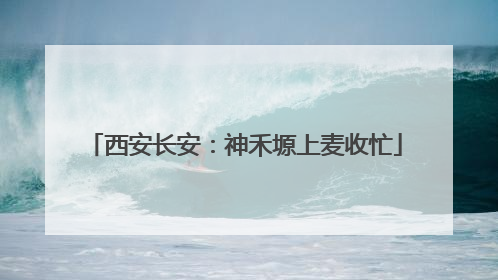 西安长安：神禾塬上麦收忙