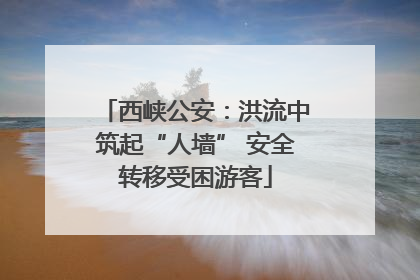 西峡公安：洪流中筑起“人墙” 安全转移受困游客