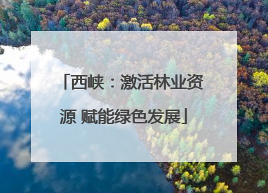 西峡：激活林业资源 赋能绿色发展